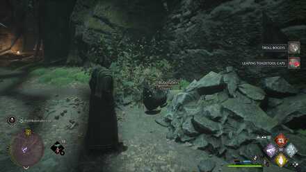 Hogwarts Legacy Spot Removal Bubotuber 2