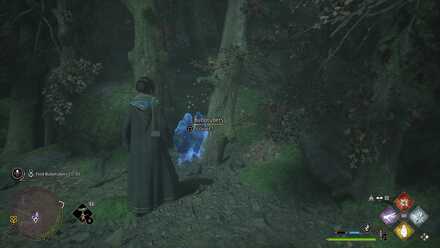 Hogwarts Legacy Spot Removal Bubotuber 1