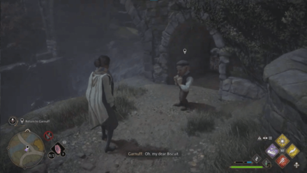 Take the Biscuit Step 4