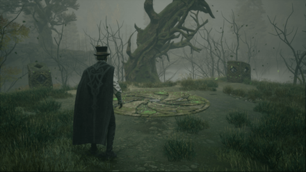 Hogwarts Legacy - Southeast of Northern South Sea Bog Merlin Trial World View