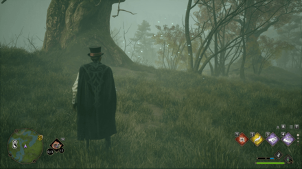 Hogwarts Legacy - Southeast of Northern South Sea Bog Merlin Trial - Butterflies 2