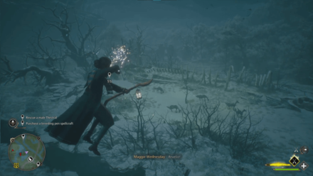 Foal of the Dead Step 2