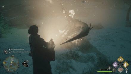 Foal of the Dead Step 2a