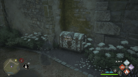 Hogwarts Legacy - How to Open Eye Chests Step 3