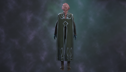 Elegant Runic Cloak