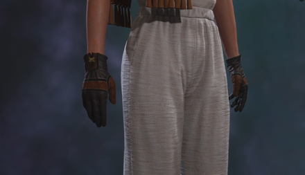 Ornate Black and Brown Gloves