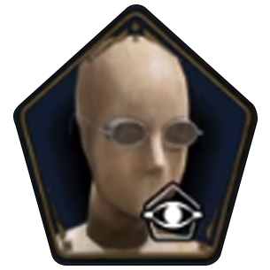 Solar Protection Goggles