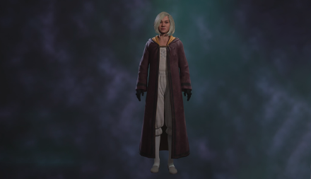 Burgundy Robe