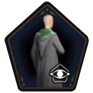 Dignified School Robe