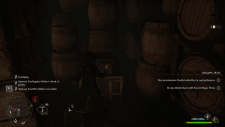 Ashwinder Hideout Chest