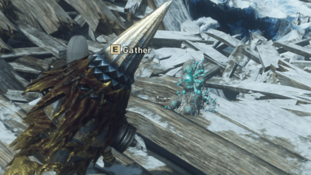 Wild Hearts - How to Get Peculiar Cocoons