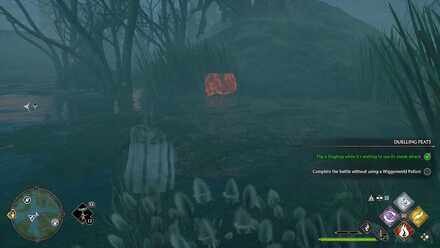 Cast Revelio to Show Hiding Dugbogs