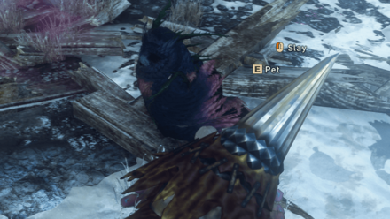 Wild Hearts - How to Pet a Deathspine Nighthawk