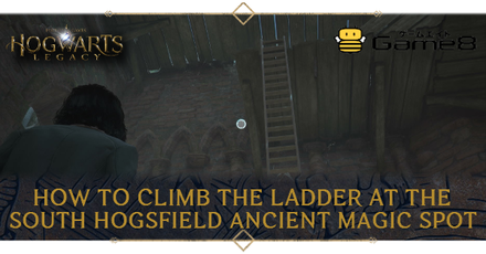 Hogwarts Legacy - How to Climb the Ladder at the South Hogsfield Ancient Magic Spot