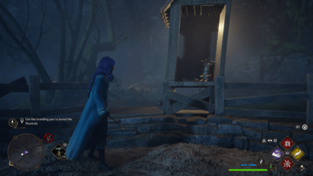 Fantastic Beasts Doll Breeding Pen