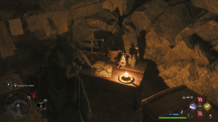 Fantastic Beasts Doll Plight of the Houseelf