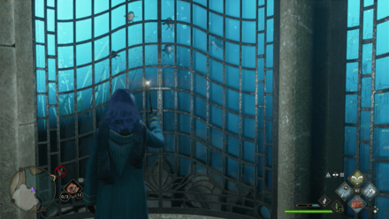 Use Lumos on window Hogwarts Legacy