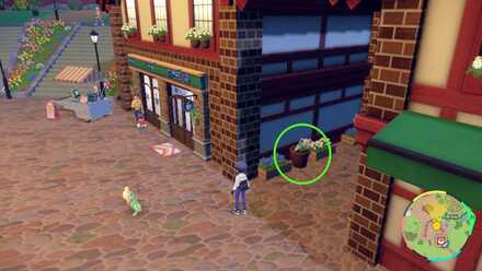 Pokemon Scarlet Violet - Sunflora Loc 7