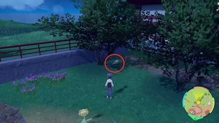 Pokemon Scarlet Violet - Sunflora Loc 8