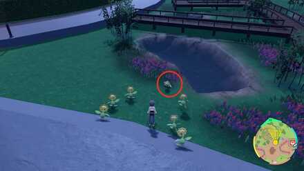 Pokemon Scarlet Violet - Sunflora Loc 11