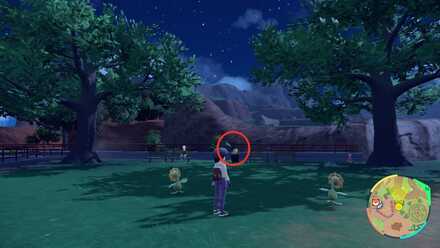 Pokemon Scarlet Violet - Sunflora Loc 17