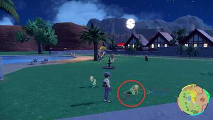 Pokemon Scarlet Violet - Sunflora Loc 1