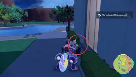 Pokemon Scarlet Violet - Sunflora Loc 2