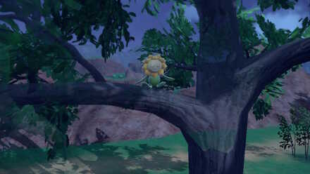 Pokemon Scarlet Violet - Sunflora Night