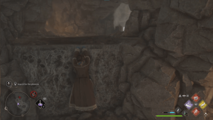 Phoenix Rising Step 3