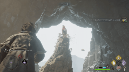 Phoenix Rising Step 5