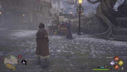 Hogwarts Legacy Unique Unicorn Location