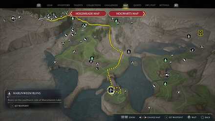 Hogwarts Legacy Portrait in a Pickle 3