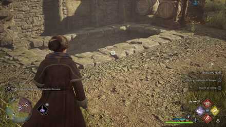 Hogwarts Legacy Portrait in a Pickle 4