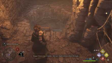 Hogwarts Legacy Tangled Web 6