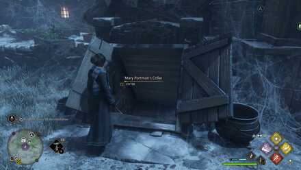 Hogwarts Legacy Tangled Web 5