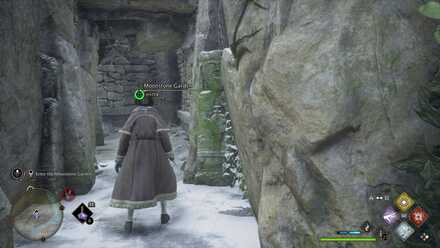 Hogwarts Legacy Centaur and the Stone 2