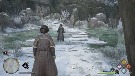 Hogwarts Legacy Centaur and the Stone Location