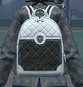 New School Backpack.PNG
