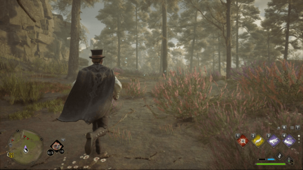 Hogwarts Legacy - West of Poidsear Castle Merlin Trial - Butterflies 2