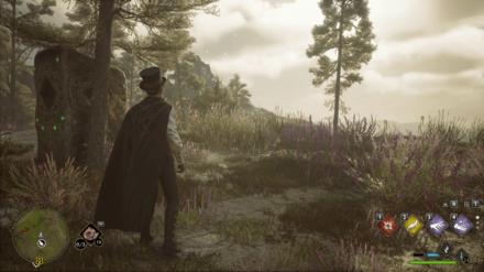 Hogwarts Legacy - West of Poidsear Castle Merlin Trial - Butterflies 3