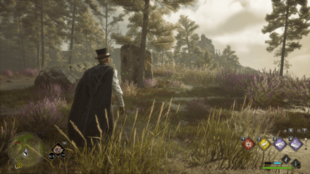 Hogwarts Legacy - West of Poidsear Castle Merlin Trial - Pillar 2