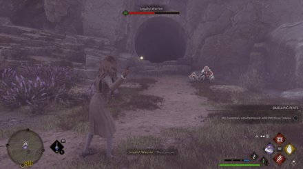 Hogwarts Legacy - Defeat Enemies in Front of Vault