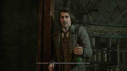 Hogwarts Legacy - Complete Potions Class Main Quest