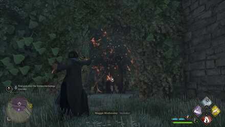 Hogwarts Legacy Venomous Valour 2