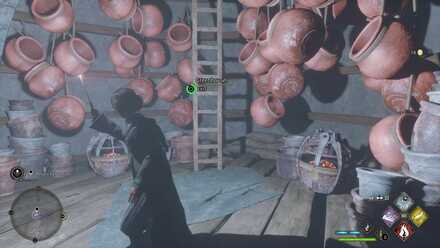 Hogwarts Legacy Venomous Valour 5