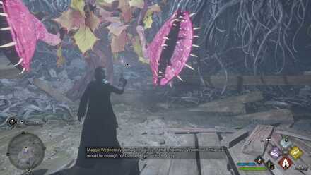 Hogwarts Legacy Venomous Valour 4