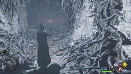 Hogwarts Legacy Venomous Valour 3