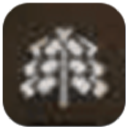 Octopath Traveler 2 - Conjurer