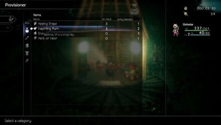 Octopath Traveler II - Beastling Village Provisioner