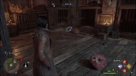 Hogwarts Legacy - room with Puffskeins and a Niffler inside Falbarton Castle